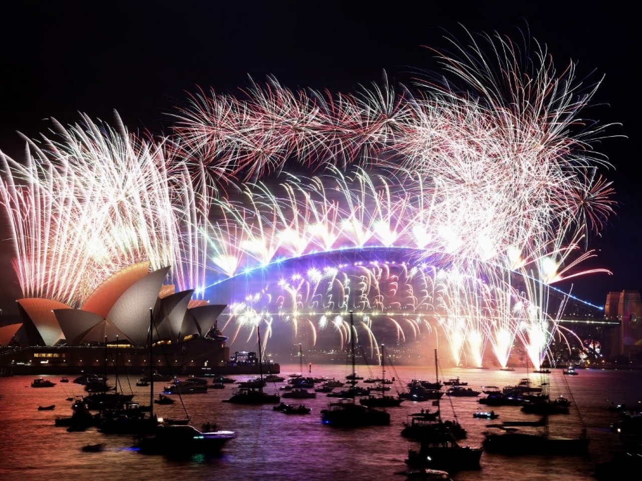 澳洲在悉尼跨海大橋及歌劇院的上空發放煙花。（法新社）